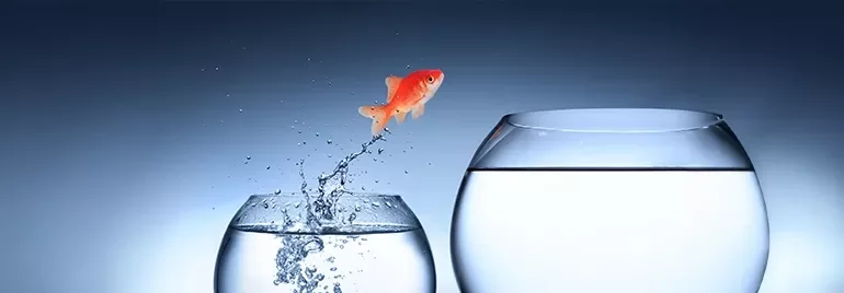 Fisch, der aus einem Glas ins nächste springt
